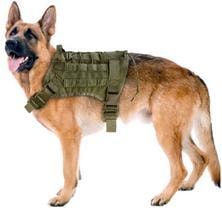 K9 dog in tactical vest