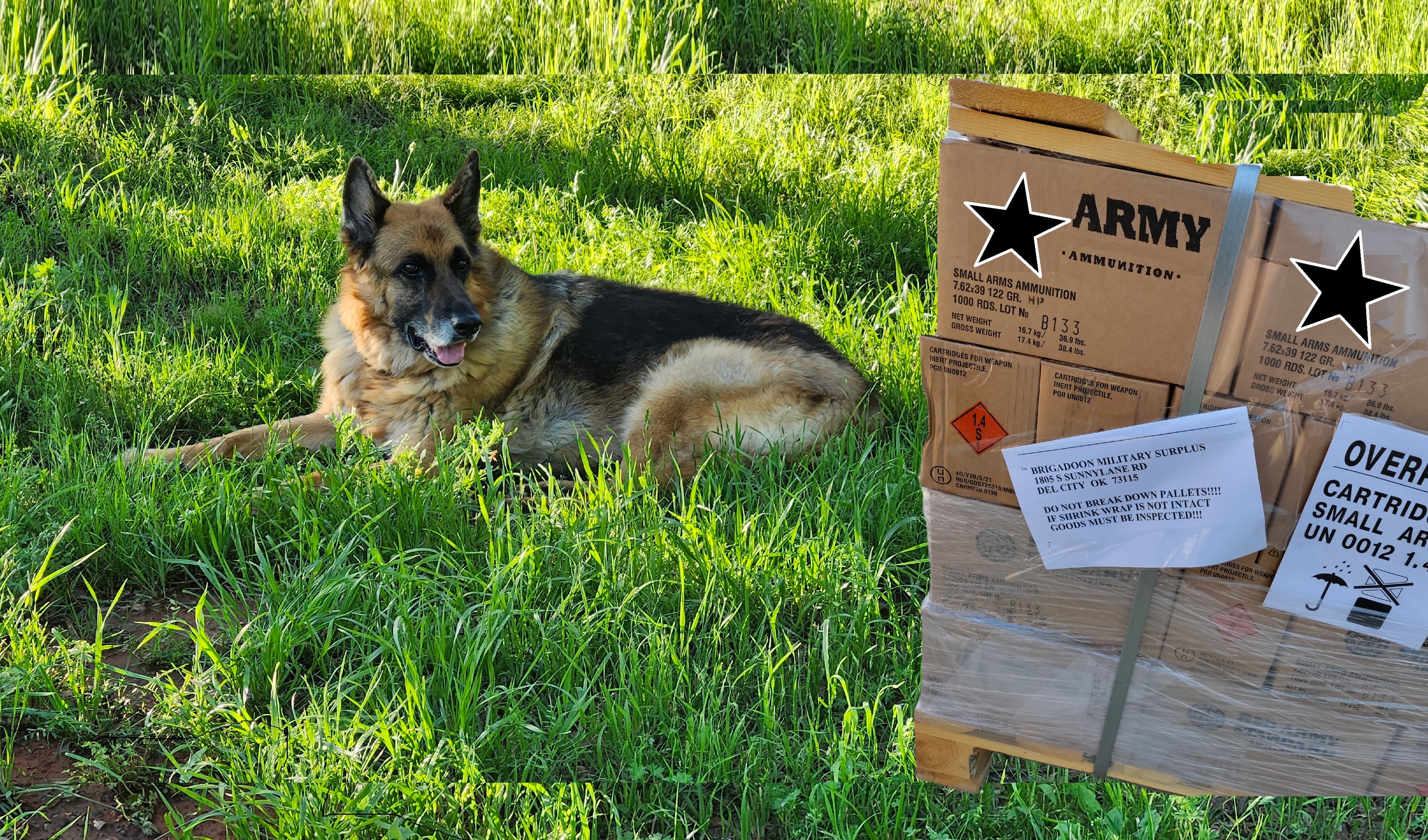 Ruger guards ammo pallet — knives and gear at Brigadoon